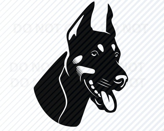570x456 Doberman Vector Images Clipart Dog Logo Design Etsy
