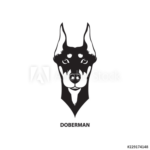 500x500 Doberman Head Vector Illustration