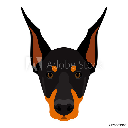 500x500 Abstract Doberman Dog Head Cartoon Stylish Doberman Dog Portrait