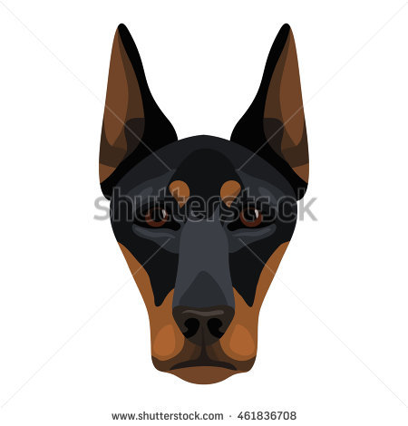 Doberman Head Vector at Vectorified.com | Collection of Doberman Head ...