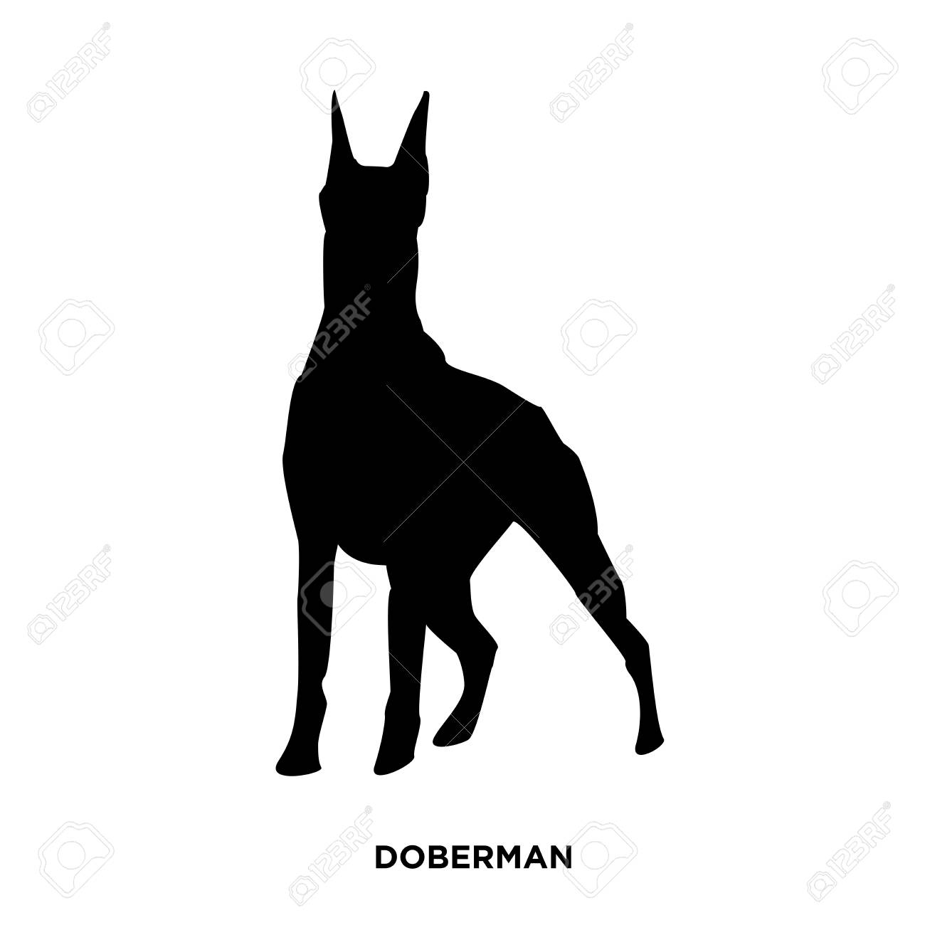1300x1300 Huge Collection Of 'doberman Clipart' Download More Than