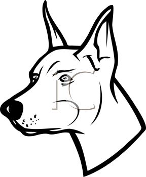 288x350 Picture Of The Head Of A Doberman In Black And White In A Vector