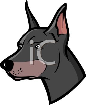 288x350 Picture Of The Head Of A Doberman In A Vector Clip Art