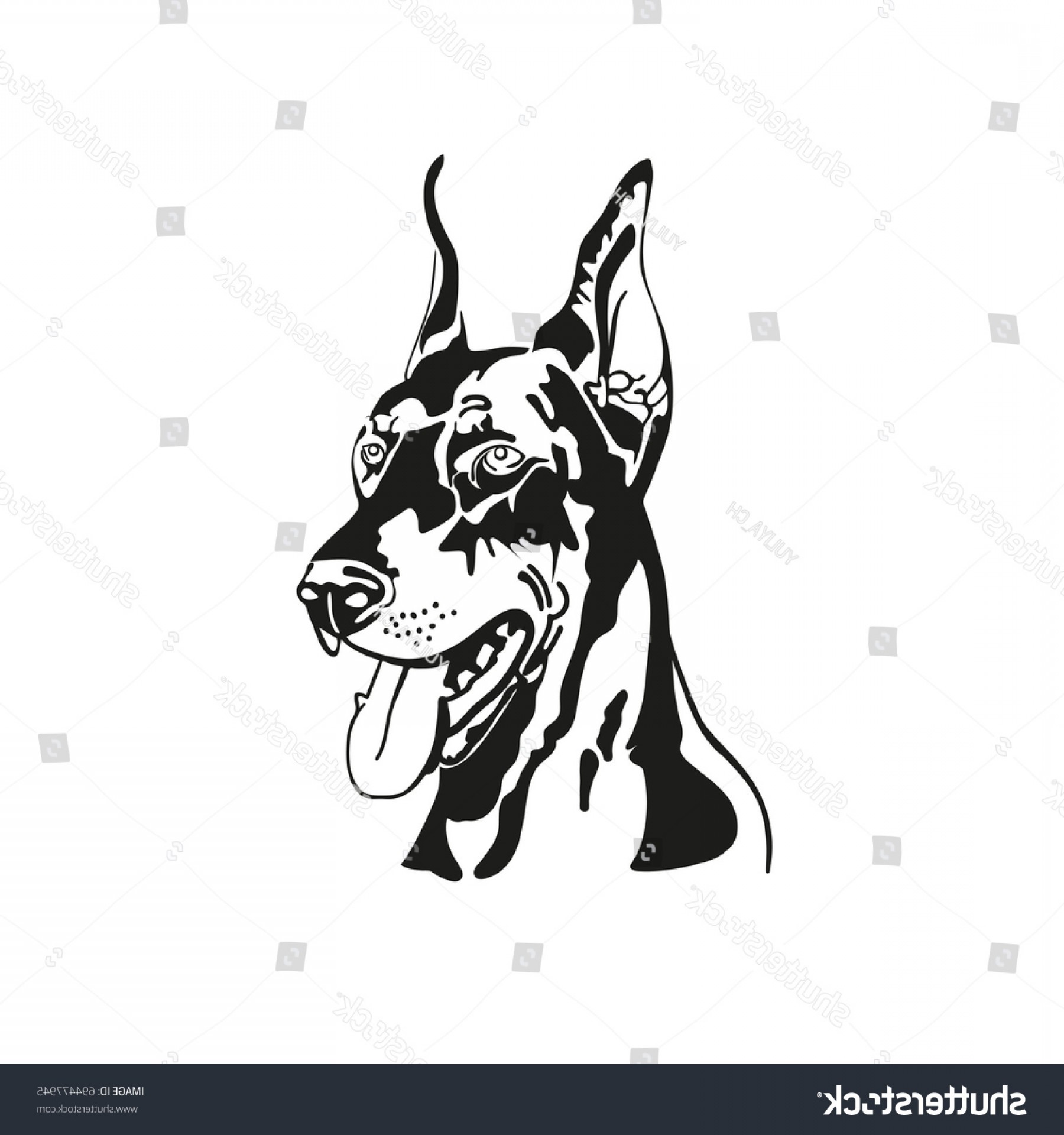 1800x1920 Vector Image Head Dog Doberman Black Soidergi