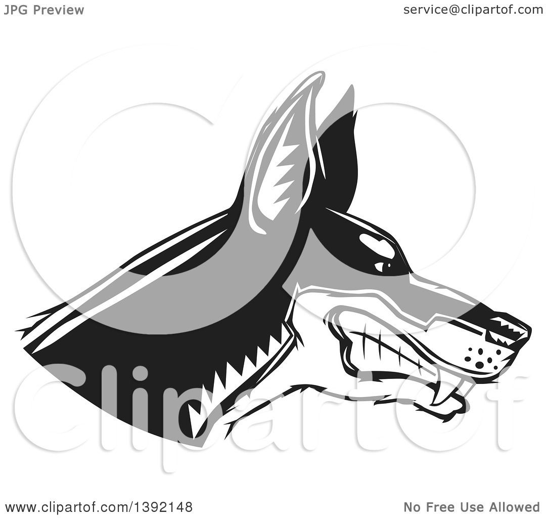 1080x1024 Clipart Of A Woodcut Black And White Tough Snarling Doberman