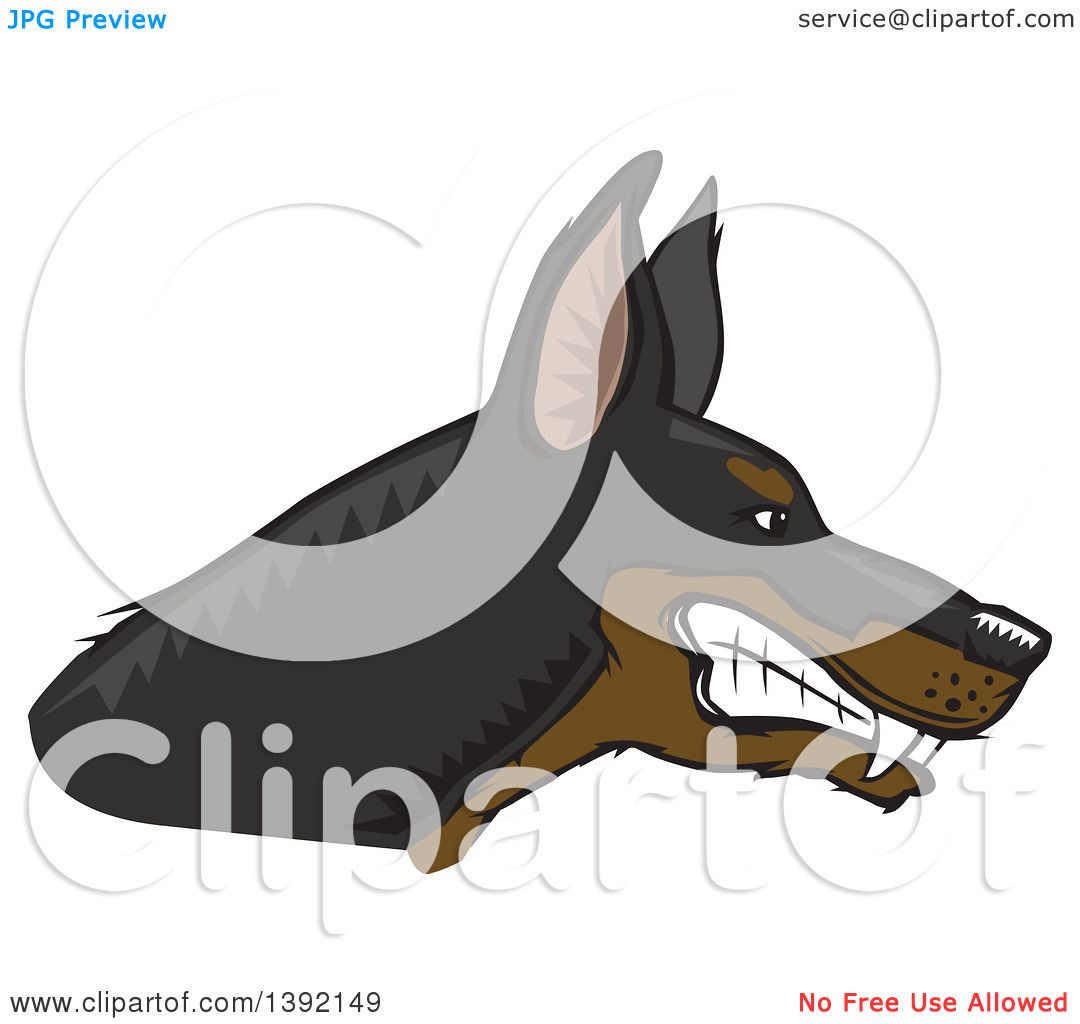 1080x1024 Clipart Of A Woodcut Tough Snarling Doberman Pinscher Dog Head