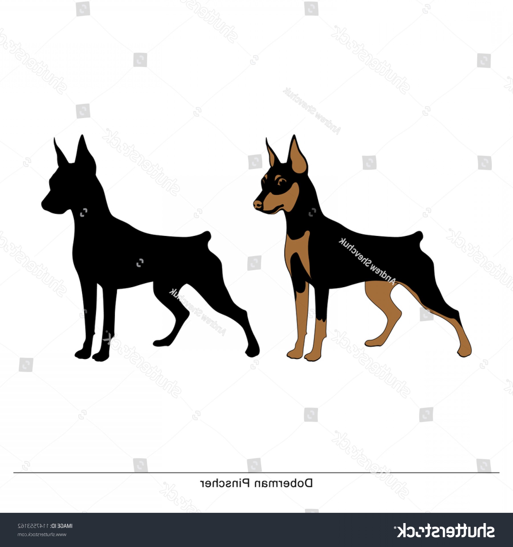 1800x1920 Doberman Silhouette Vector Studiogrfx