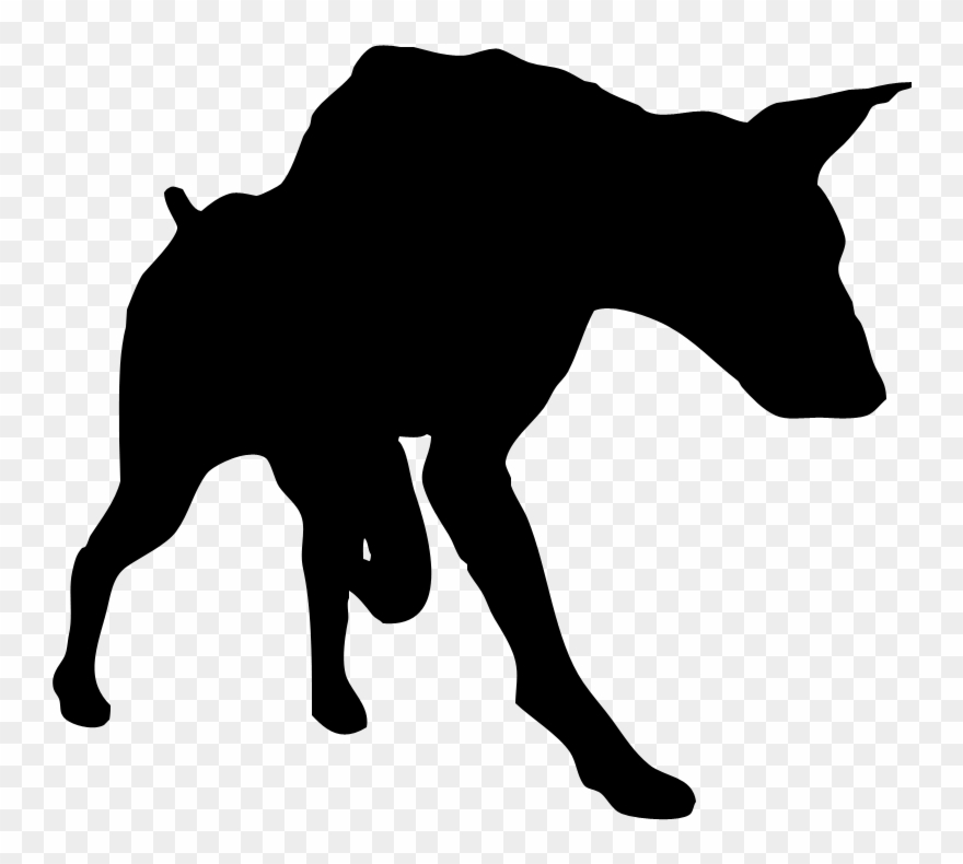 880x790 Doberman Vector Silhouette Vector Free Download
