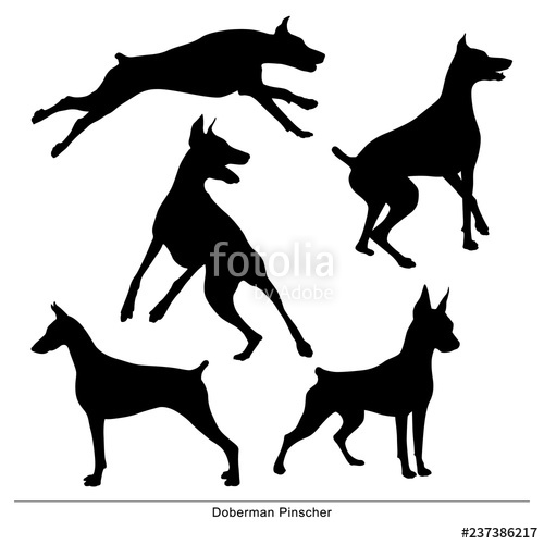 500x500 Dog Jumping Isolated Silhouette Of A Doberman Pinscher On A White