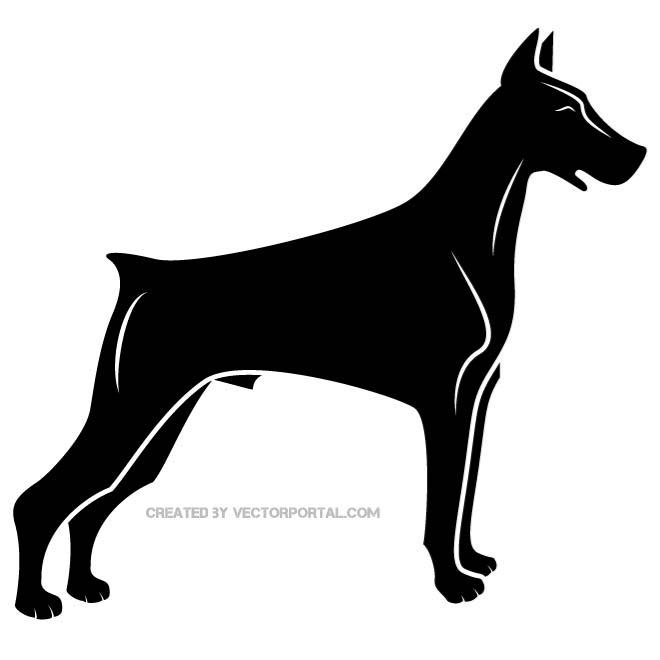 660x660 Doberman Dog Breed