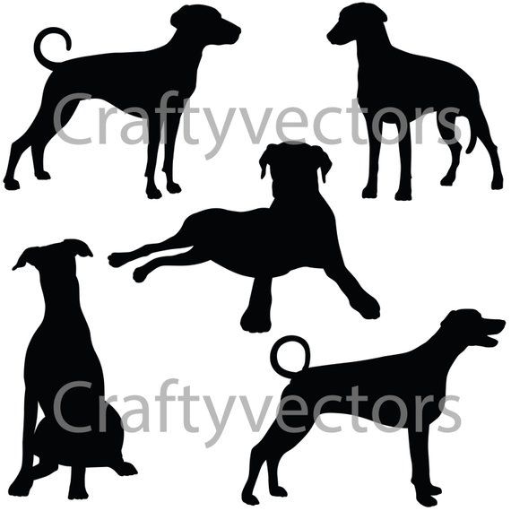 570x570 Huge Collection Of 'doberman Silhouette Clip Art' Download More