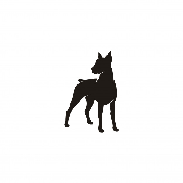 626x626 Silhouette Of Standing Doberman Pinscher Dog Vector Premium Download