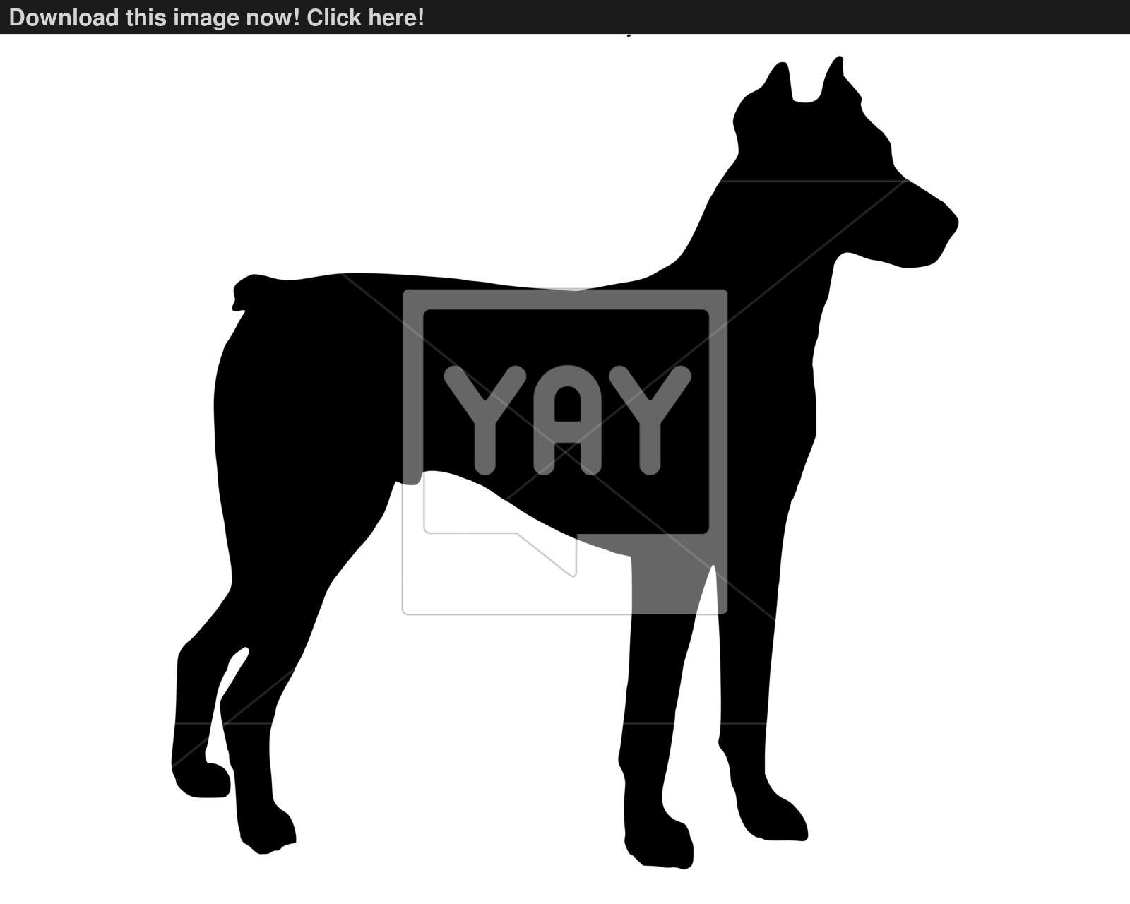 1600x1280 The Black Silhouette Of A Doberman Pinscher Vector