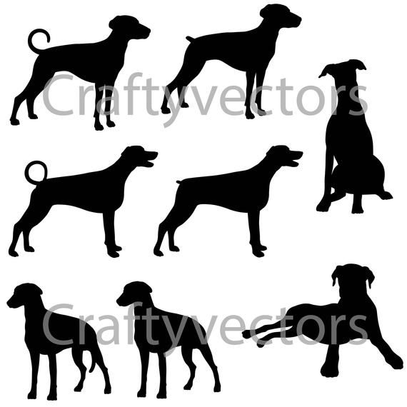 570x570 Doberman Pinscher Silhouettes Products Doberman, Doberman