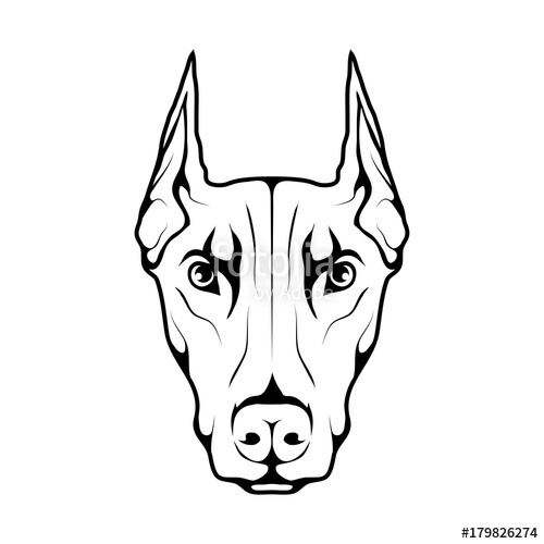 500x500 Doberman Dog Icon Dog Collection Stock Image And Royalty Free