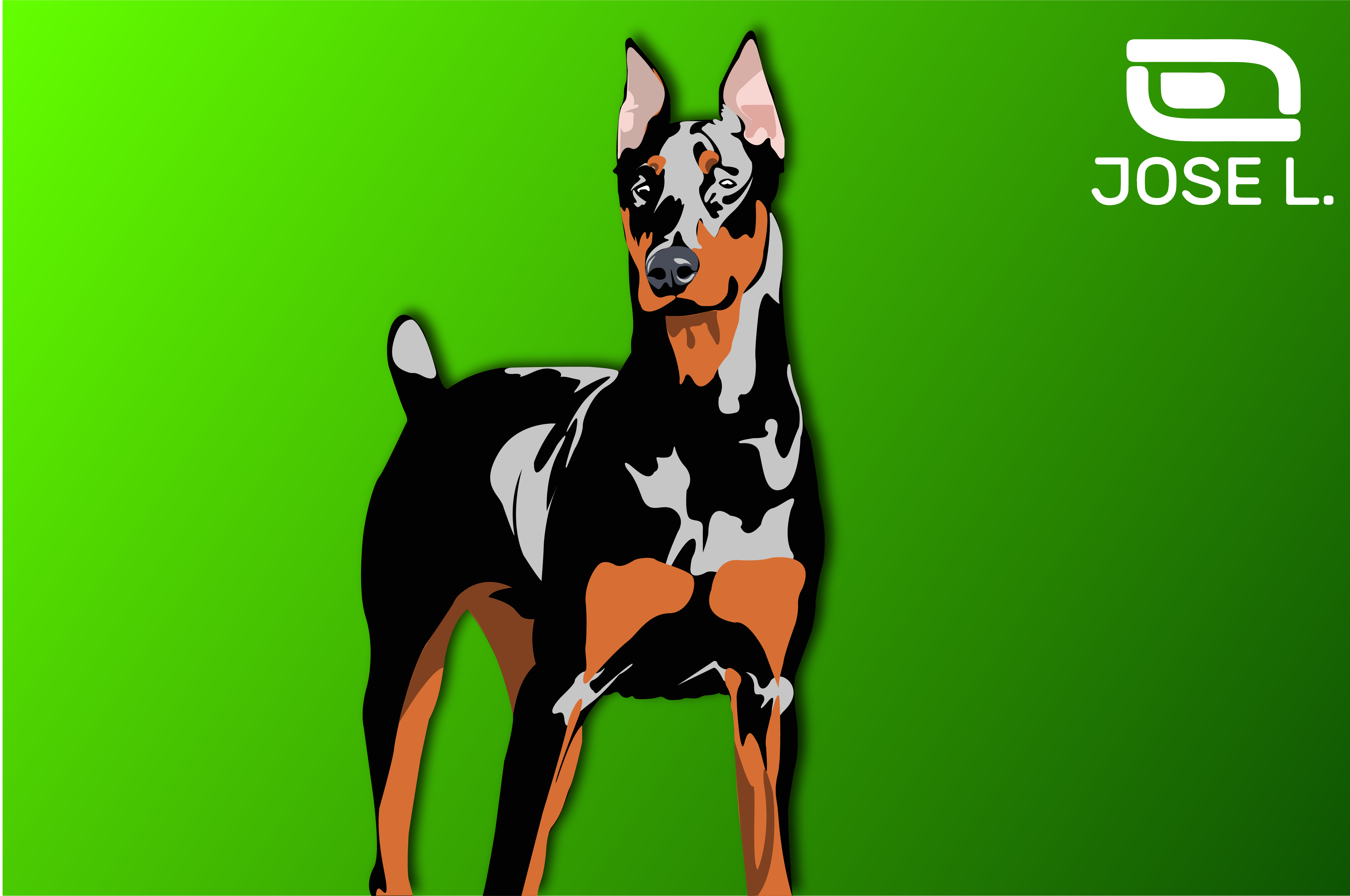 5000x3320 Doberman In Vector Steemit