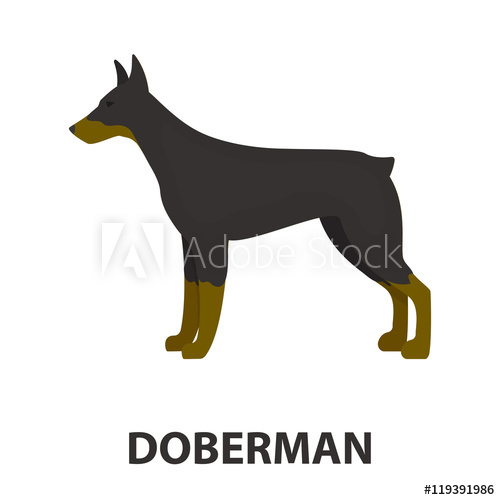 500x500 Doberman Vector Icon In Cartoon Style For Web