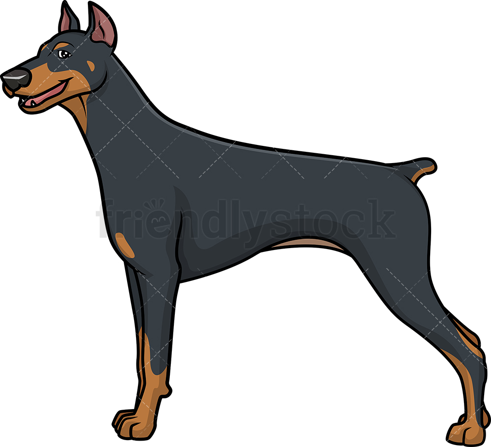 1000x910 Fearless Doberman Cartoon Clipart Vector
