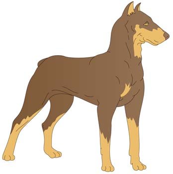 348x350 Free Doberman Vector Clipart And Vector Graphics