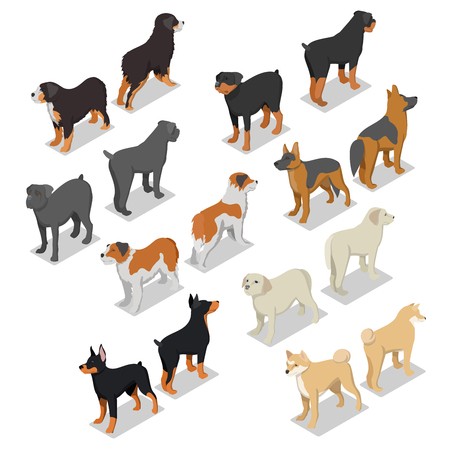 450x450 Isometric Dog Breeds With Rottweiler, Retriever And Doberman