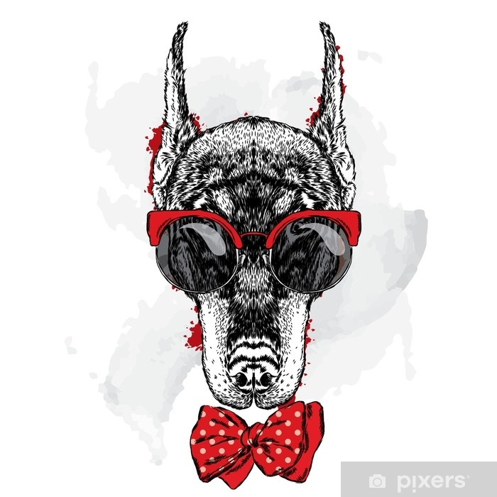 700x700 Beautiful Doberman Wearing Glasses And Tie Vector Illustration