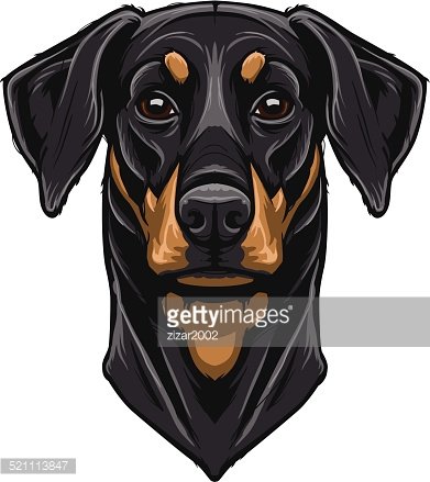 391x439 Vector Doberman Pinscher Premium Clipart