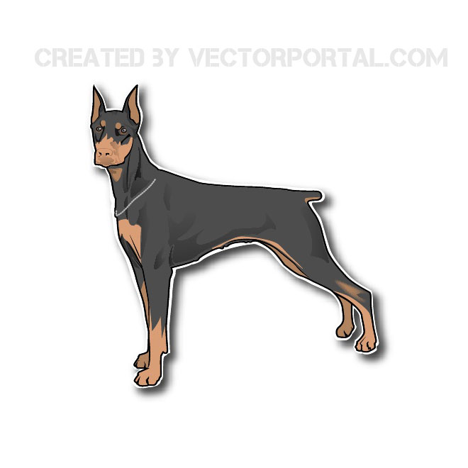660x660 Doberman Vector Image