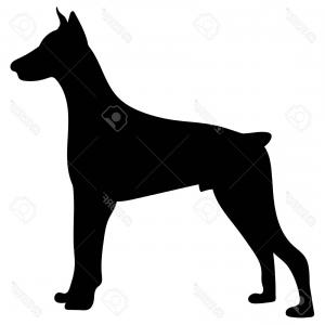 300x300 Doberman Dog Silhouette Side View Vector Gm Soidergi