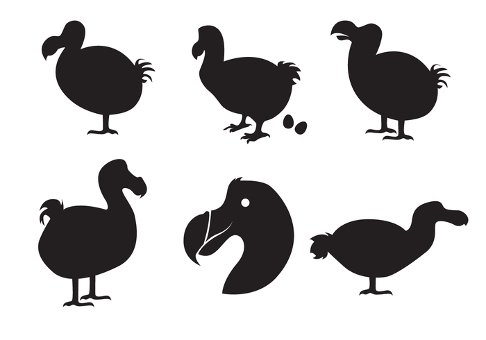 700x490 Dodo Silhouette Vector