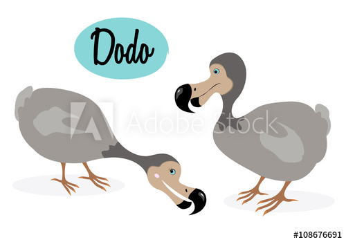 500x350 Dodo Bird Illustration Cartoon Style Extinct Bird Vector Bird