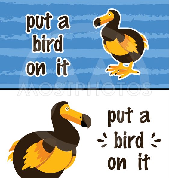 562x592 Dodo Bird Vector