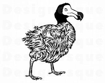 340x270 Dodo Png Etsy
