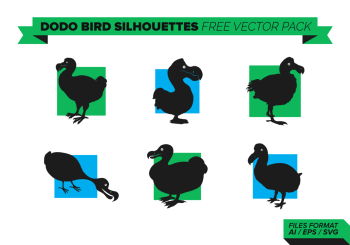 700x490 Download Vector