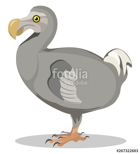 453x500 Image Of Dodo, Vector Or Color Illustration Stock Image