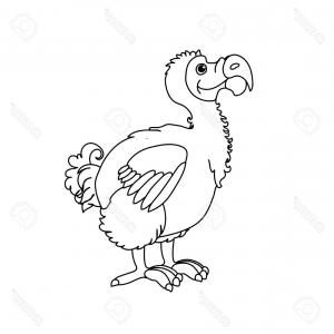 300x300 Photostock Vector Vector Line Cartoon Animal Clip Art Dodo Bird