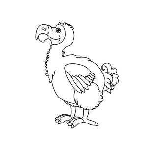300x300 Vector Line Cartoon Animal Clip Art Dodo Bird Royalty Free Stock