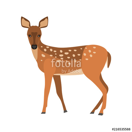 500x500 Doe Color Vector Icon Flat Design Stock Image And Royalty Free