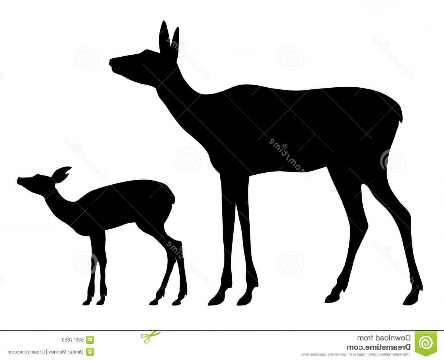 1560x1269 Fawn And Doe Vector Lamaison