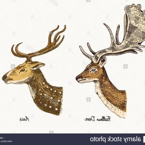 300x300 Stag Doe Head Silhouettes Vector Wallkeeper