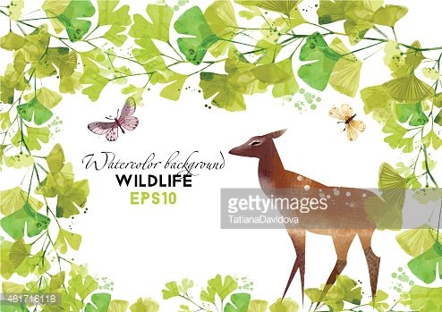 494x349 Animals Watercolor Vector Illustration With Doe Premium Clipart