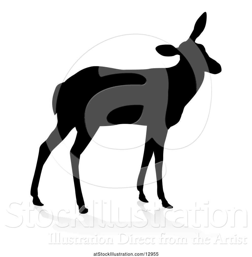1024x1044 Vector Illustration Of Silhouetted Black Silhouetted Deer Doe