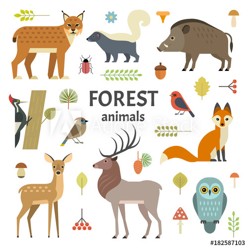 500x500 Vector Illustration Of Forest Animals Elk, Doe, Hedgehog, Fox