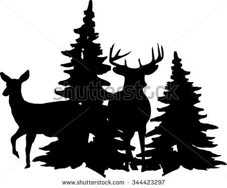 450x373 Whitetail Buck And Doe Standing Near Pine Trees Stock Vector