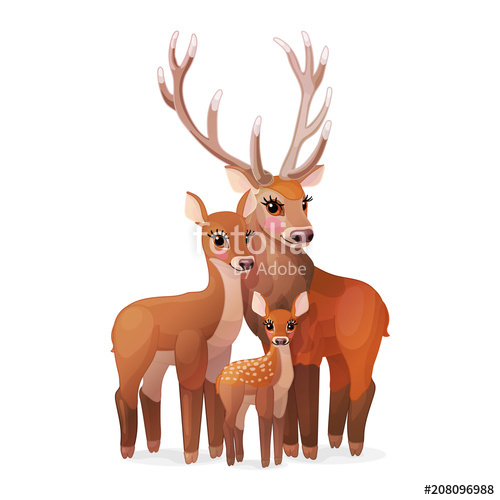 500x500 Vector Red Deer Family Doe Mom, Baby Fawn, Stag Dad Stock Image