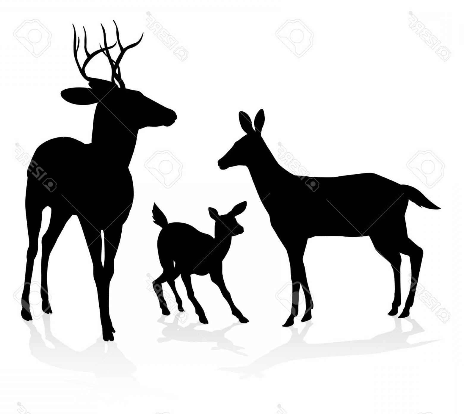 Buck Vector Art Studiogrfx 1560x1392 Buck Vector Art Studiogrfx