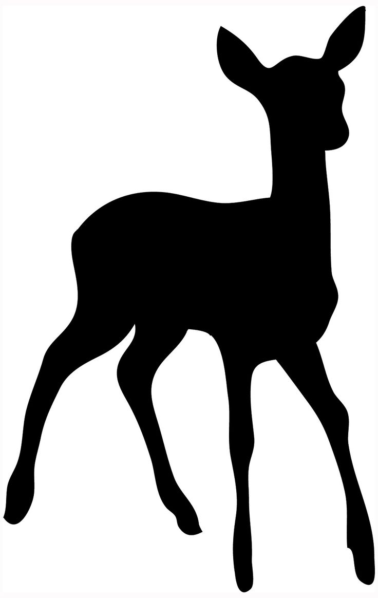 Buck Clipart Free Download On Ijcnlp Cliparts 736x1164 Buck Clipart Free Download On Ijcnlp Cliparts