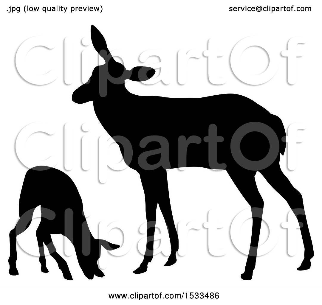 1080x1024 Clipart Of A Black Silhouetted Deer Doe And Fawn