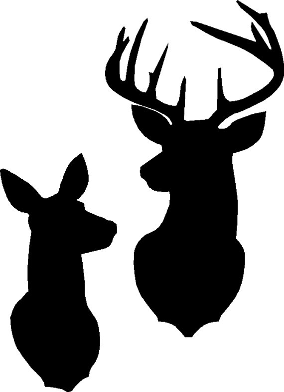 570x785 Collection Of 'doe Deer Silhouette' Download More Than Images