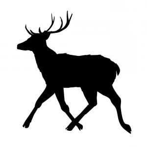 300x300 Decoration Elegance Horned Object Shadow Buck Doe Vector Geekchicpro