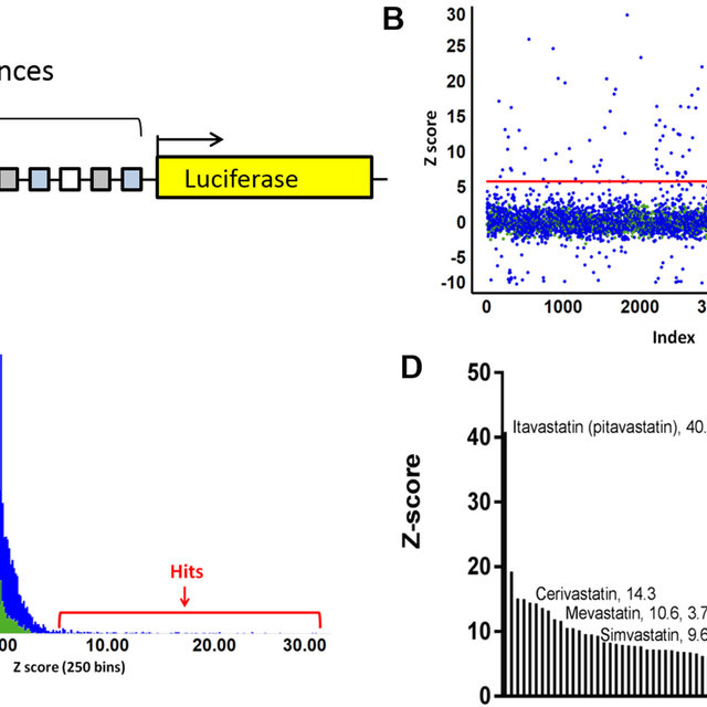 640x640 Bhlh Platform Design And Drug Screen
